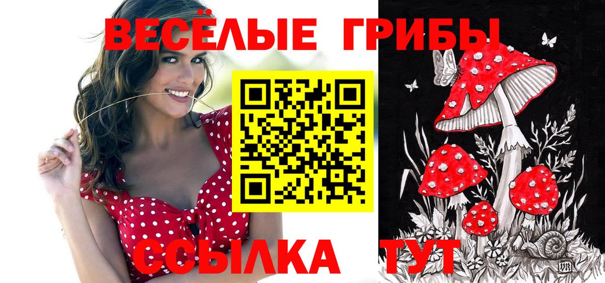 Псилоцибиновые грибы Psilocybine cubensis  Вход с VPN  наркота  Псилоцибиновые грибы Psilocybe  Ярославль 
