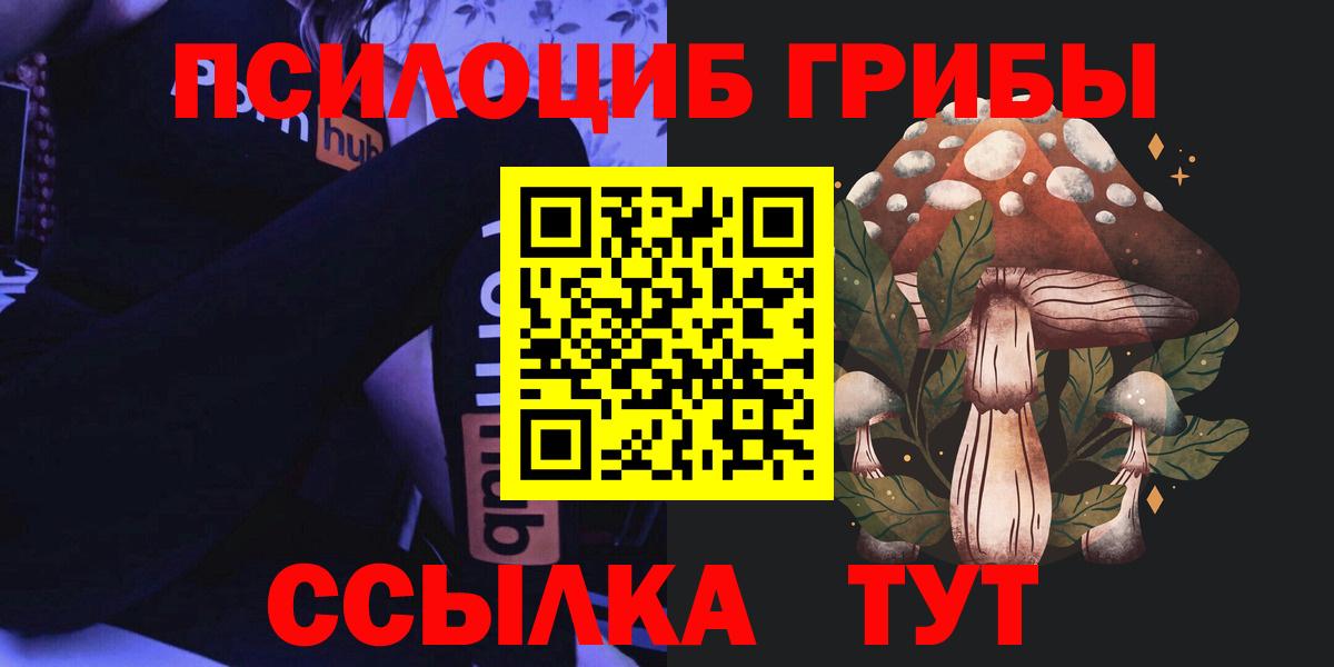 Псилоцибиновые грибы GOLDEN TEACHER Ярославль
