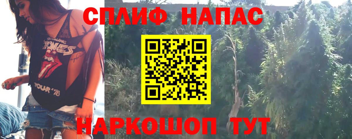 Бошки Шишки тримм  Вход с VPN  Каннабис Amnesia  Ярославль  Канабис индика 